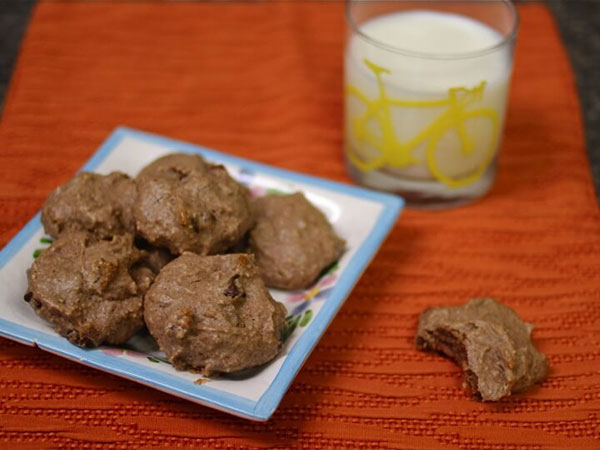 Emma Frisch Chocolate Chip Brownie Cookies (Gluten-Free) Recipe