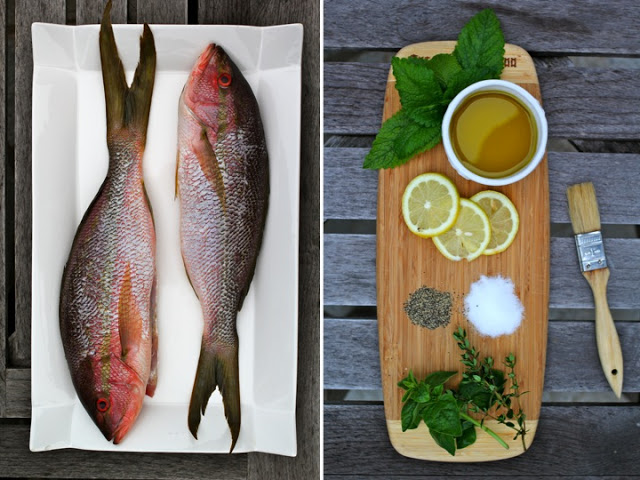 Emma Frisch Grilled Red Snapper stuffed with Lemon & Summer Herbs Recipe