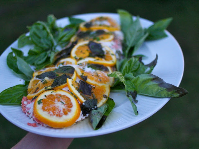 Emma Frisch Orange & Basil Grilled Wild Alaskan Salmon (and an Amazing Pyramid of Women) Recipe